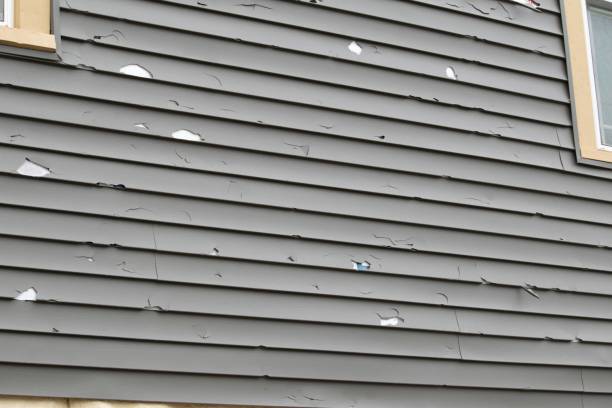 Historical Building Siding Restoration in Camp Barrett, VA